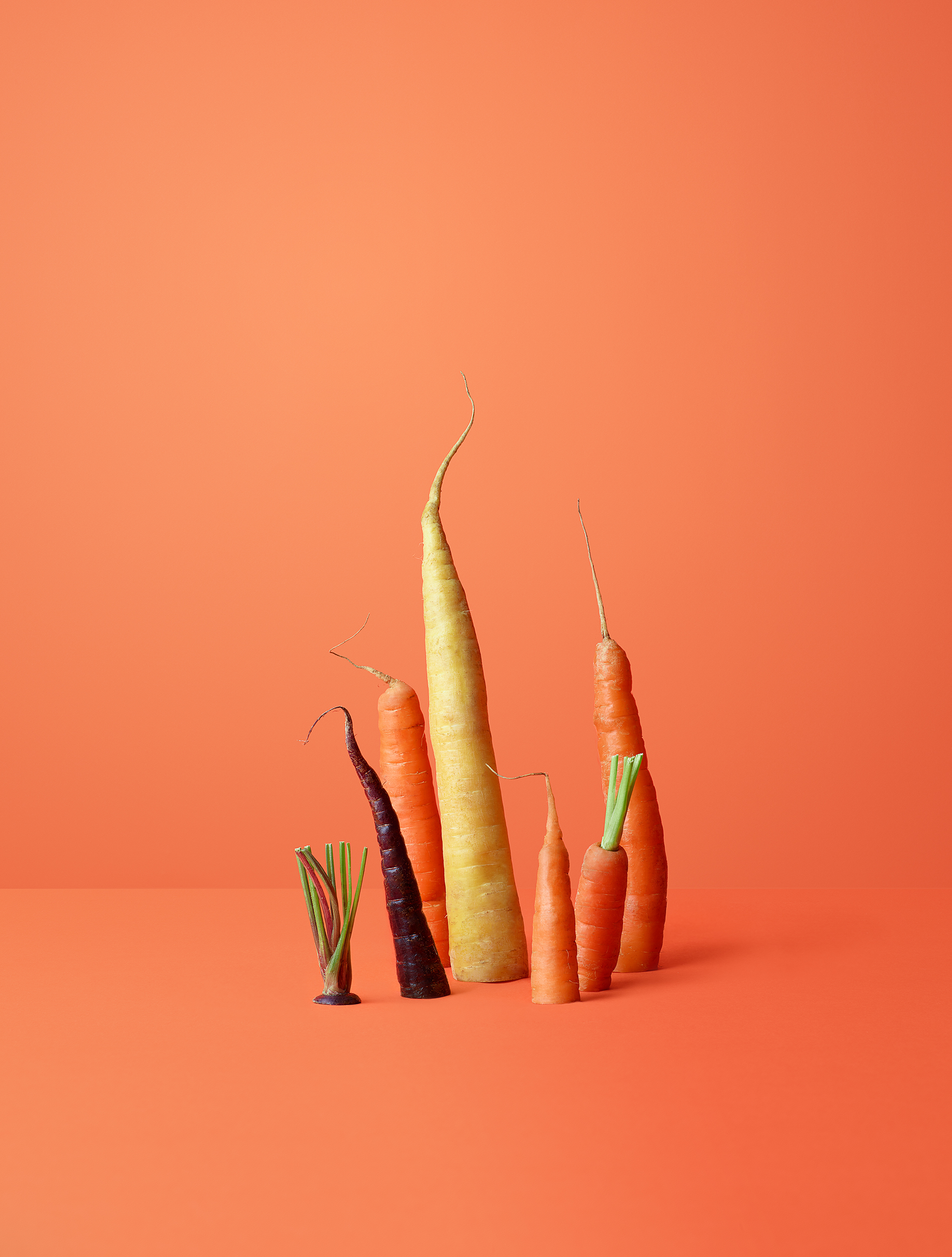 Chelsea Bloxsome | Food Photographer London Carrot Final