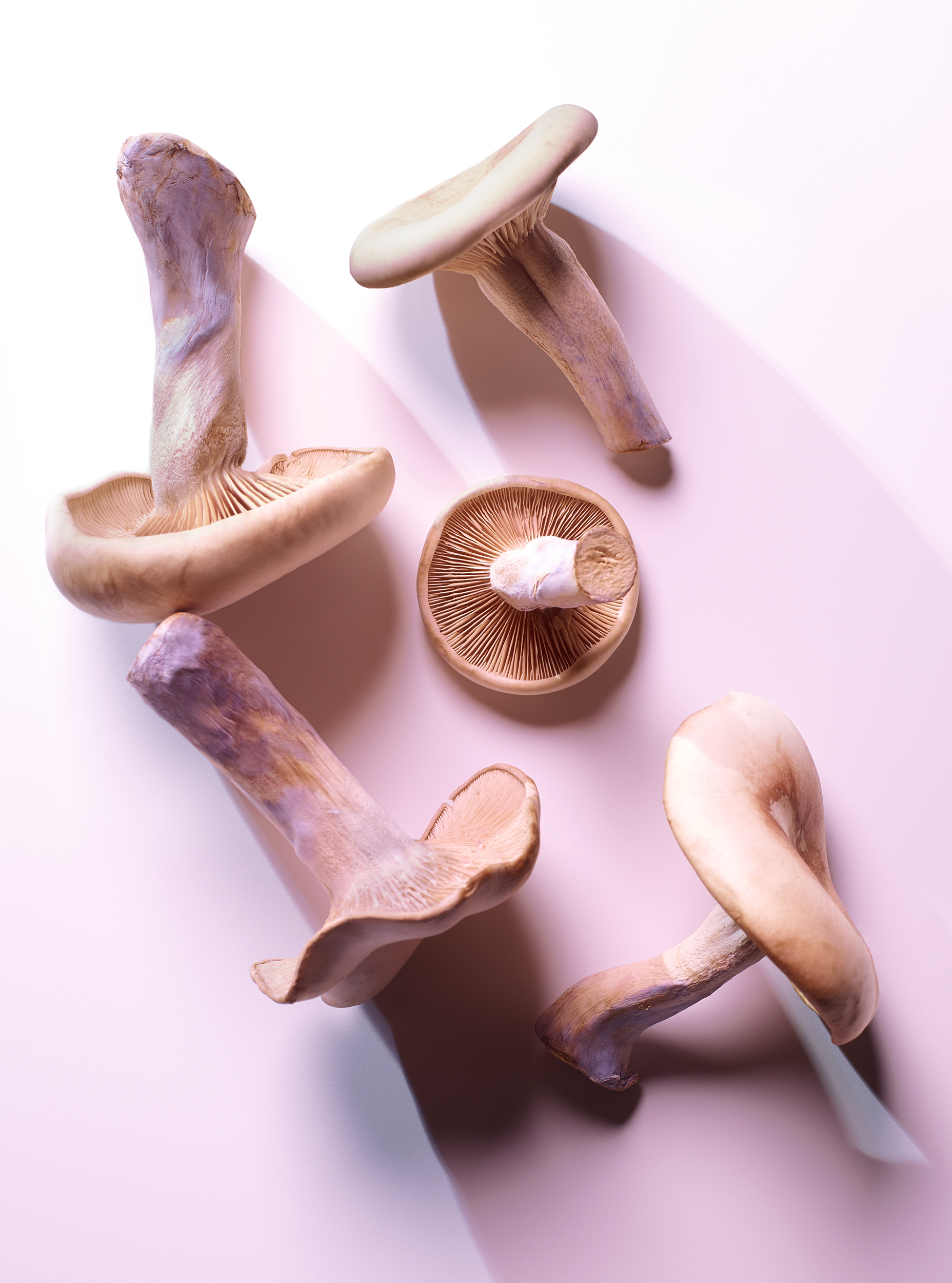 Chelsea Bloxsome | Food Photographer London Mushrooms 1