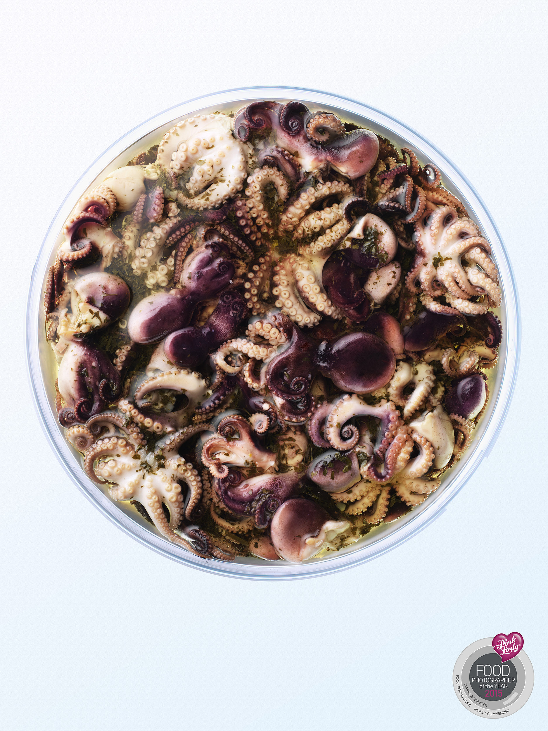 Chelsea Bloxsome | Food Photographer London Octopus logo 1